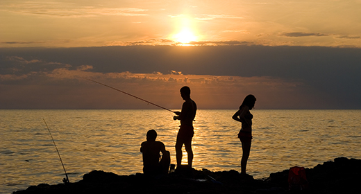 Nature (landscapes, macro)