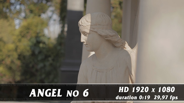Angel No.6