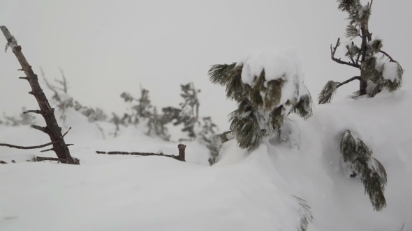 Heavy Snow After Snowstorm