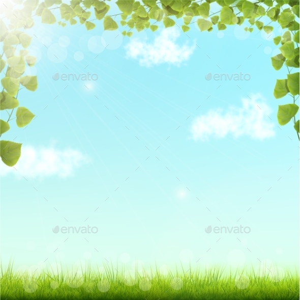 Green Leaves on Blue Sky Background - Seasons Nature