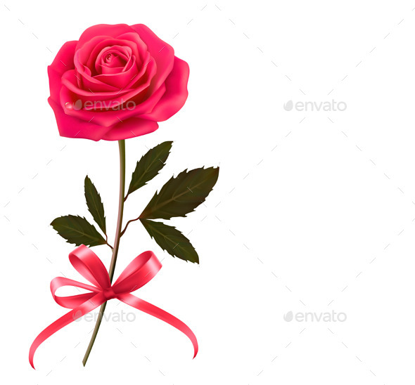 Background with Rose and a Bow - Flowers & Plants Nature