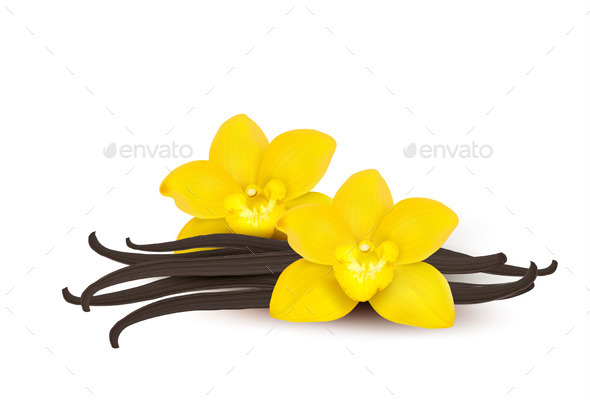 Vanilla Background - Food Objects