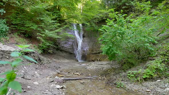 Zoom in shot of idyllic lush waterfall flowing down the cliff wall surrounded by green forest plants alt
