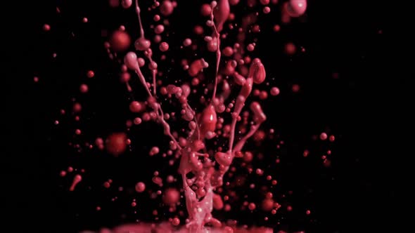 Bright Red And Pink Paint Splashing With Droplets Into Air alt