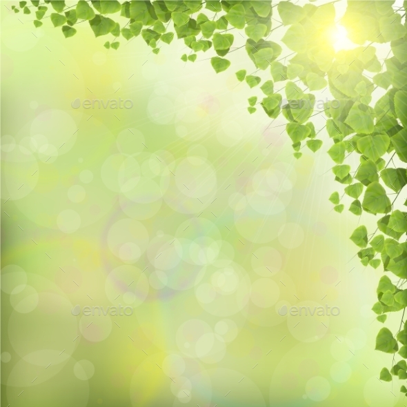 Tree Leaves on Abstract Green Background - Backgrounds Decorative