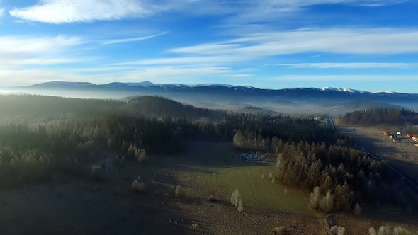 Aerial Over The Forest