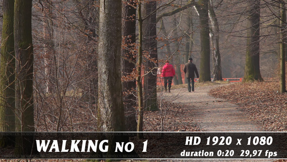 Walking No.1 alt