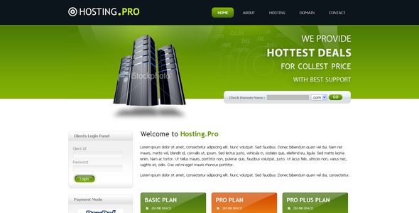 Hosting Provider - ThemeForest 43963