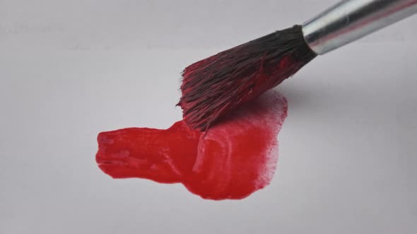 Brush With Red Paint Draws a Line on White Paper in Macro alt