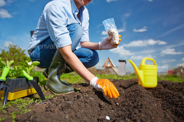 Planting - Stock Photo - Images