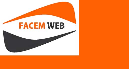 Facem Web