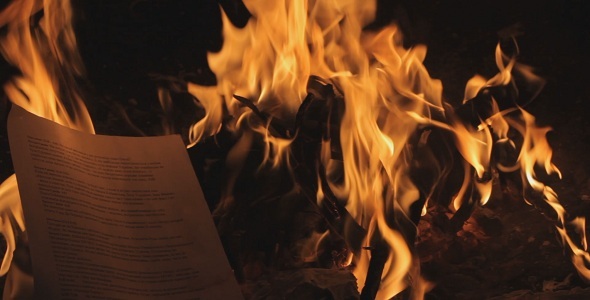 Fire In Forest  - 8 alt