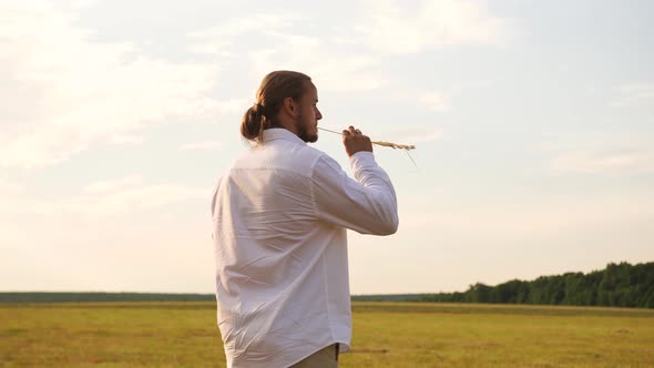 Guy Standing in the Field with a Spikelet in His Mouth