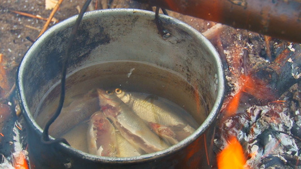 Fish Cooked in a Pot alt