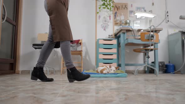 Cropped Image Of A Female Entrepreneur In Brown Apron Walking Inside Workplace With Pet Dog Lying On alt