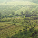 Over the Green Landscape on the Countryside - VideoHive Item for Sale