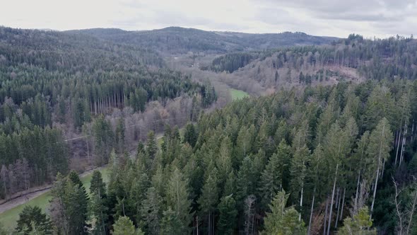 Aerial shot of Haselbachtal in Baden-Wurttemberg alt