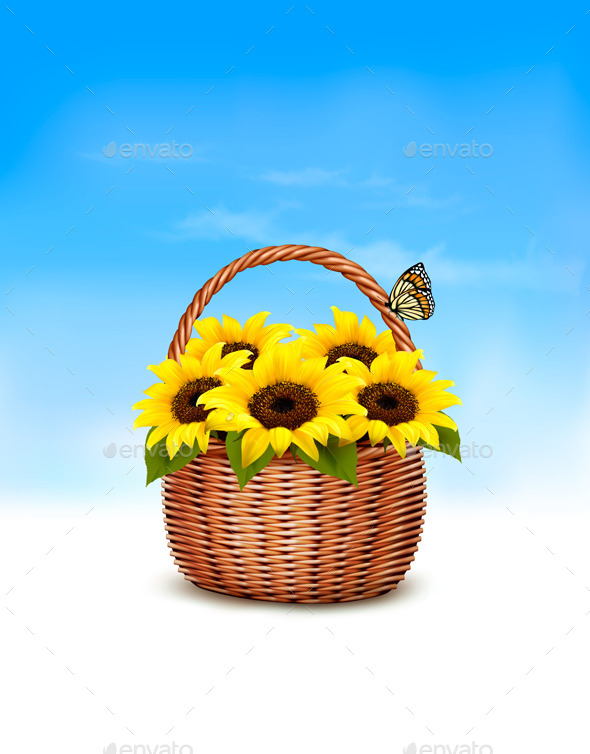 Spring Background Basket Full of Sunflowers - Flowers & Plants Nature