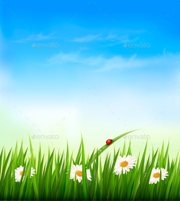 Spring Background - Flowers & Plants Nature