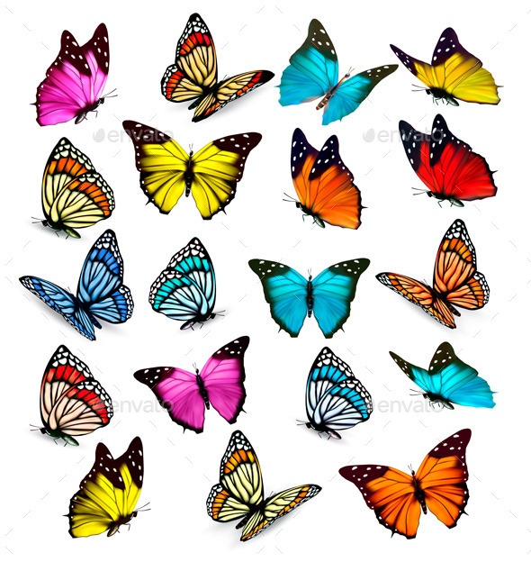Butterflies - Animals Characters