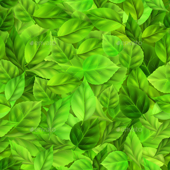 Green Leaves Pattern - Flowers & Plants Nature