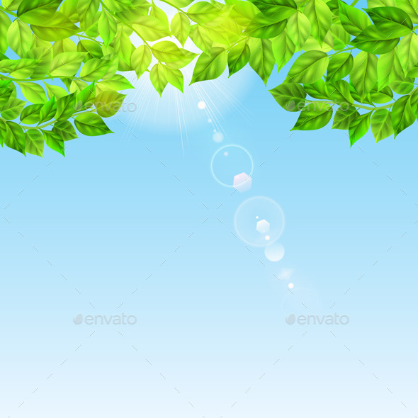 Blue Sky With Sun and Leaves - Nature Conceptual