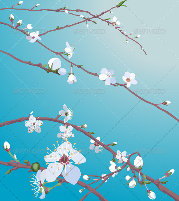 Beautiful blossom background - Backgrounds Decorative