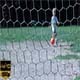 Kid Playing Soccer - VideoHive Item for Sale