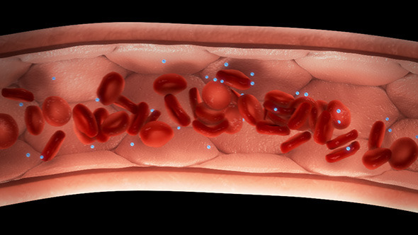 Blood Cells in Vessel with/without Molecules