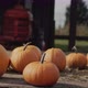 Several Pumpkins on the Farm with a Tractor Visible in the Background - VideoHive Item for Sale