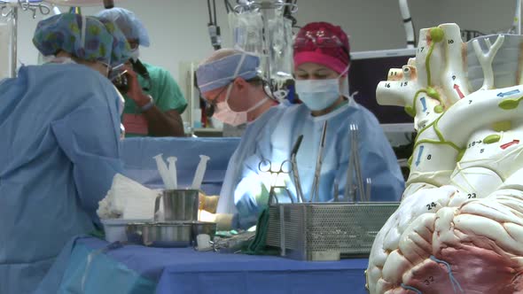 Model Of Heart With Surgical Team In Background (1 Of 4)