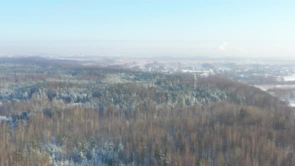 Drone footage of forest near industrial zone in winter