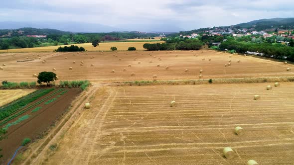 Village Landscape From Above