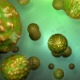 Green Virus - VideoHive Item for Sale