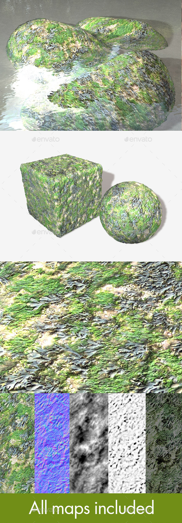 Seaweed and Moss - 3Docean 10759702