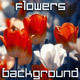 Flowers - VideoHive Item for Sale