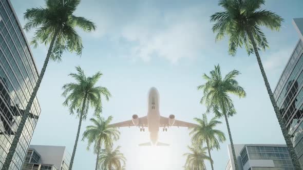 Airplane flying over city buildings. Palm trees on the street and glass facades reflections. alt