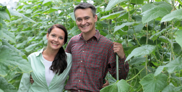 Couple of farmers alt