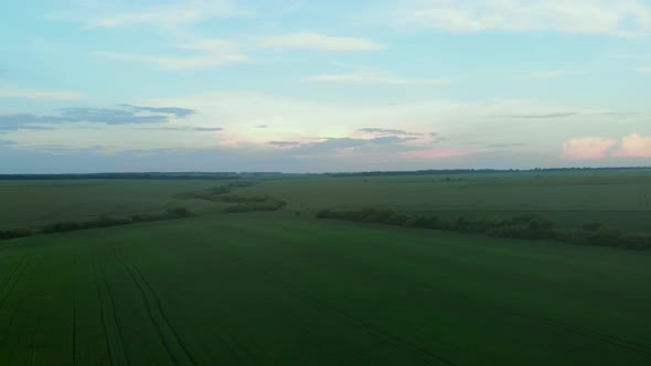 Green Field and Sunset