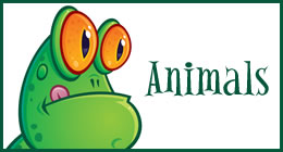 Animals