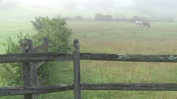 Looking Over A Split Rail Fence To Horses On A Foggy Meadow 3