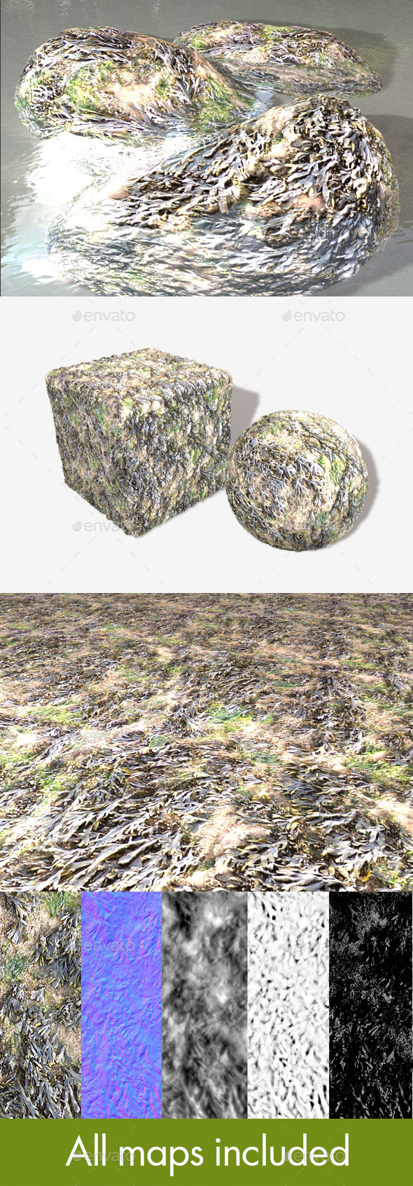 Seaweed Seamless Texture - 3Docean 10796649