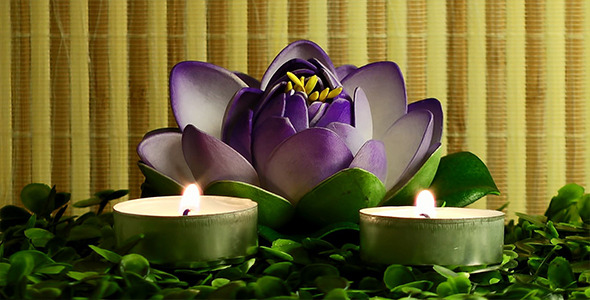 Candles and Waterlily