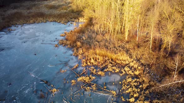 Aerial view on frozen wild lake in wintry forest