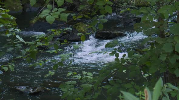 Relaxing Stream Rushing Over Rocks (6 Of 6)