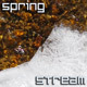 Spring Stream - VideoHive Item for Sale
