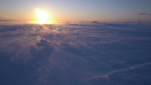 Snowstorm In The Arctic