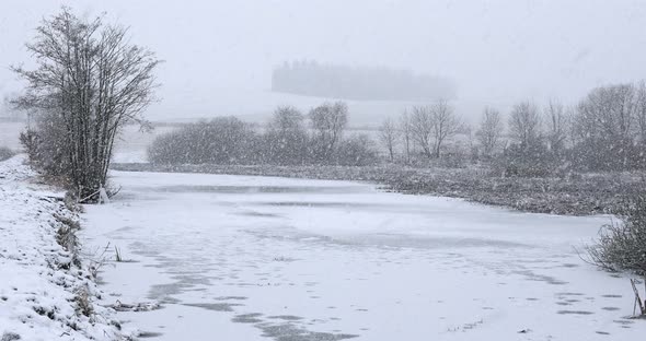 Winter landscape covered with snowfall