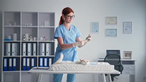 Veterinary Clinic Charming Female Doctor Vaccinates Domestic Cat for Prevention of Viruses and alt