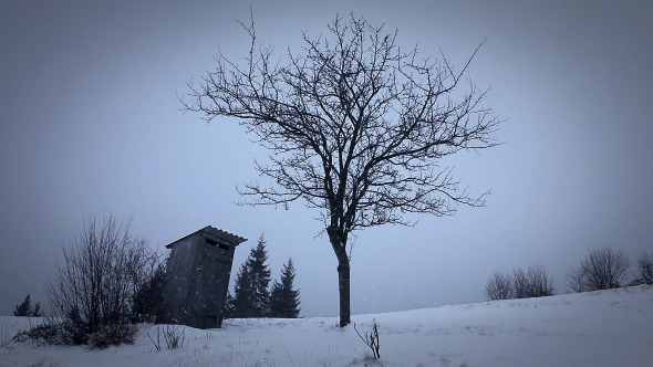 Winter Landscape in Carpathians